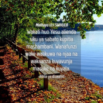 Picture 04 - Mathayo 12:1 SWHULB - Wakati huo Yesu alienda siku ya sabato kupitia - Bible Verse Picture