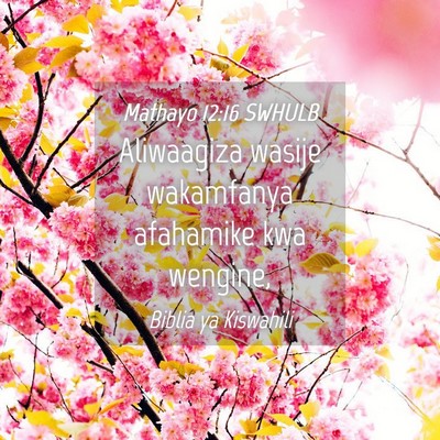 Picture 04 - Mathayo 12:16 SWHULB - Aliwaagiza wasije wakamfanya afahamike kwa - Bible Verse Picture