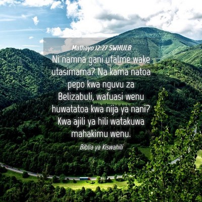 Picture 04 - Mathayo 12:27 SWHULB - Ni namna gani ufalme wake utasimama? Na kama - Bible Verse Picture
