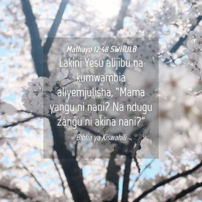 Picture 04 - Mathayo 12:48 SWHULB - Lakini Yesu alijibu na kumwambia aliyemjulisha, - Bible Verse Picture