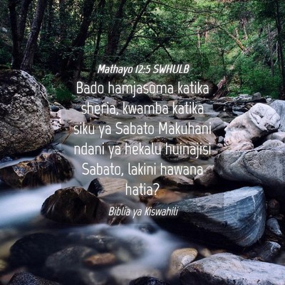Picture 04 - Mathayo 12:5 SWHULB - Bado hamjasoma katika sheria, kwamba katika siku - Bible Verse Picture