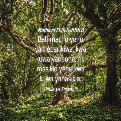 Picture 04 - Mathayo 13:16 SWHULB - Bali macho yenu yamebarikiwa, kwa kuwa yanaona, - Bible Verse Picture
