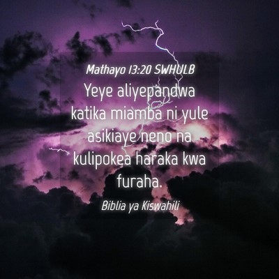 Picture 04 - Mathayo 13:20 SWHULB - Yeye aliyepandwa katika miamba ni yule asikiaye - Bible Verse Picture