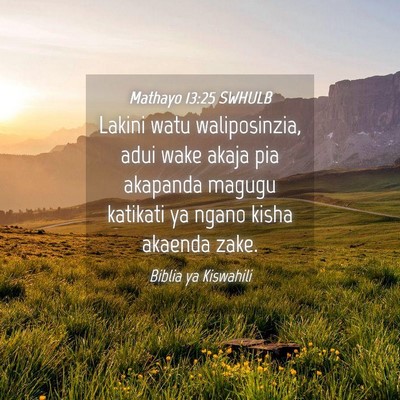 Picture 04 - Mathayo 13:25 SWHULB - Lakini watu waliposinzia, adui wake akaja pia - Bible Verse Picture