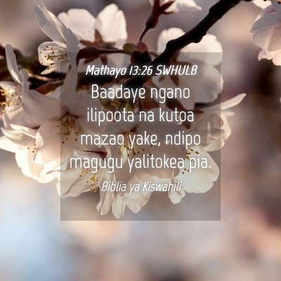 Picture 04 - Mathayo 13:26 SWHULB - Baadaye ngano ilipoota na kutoa mazao yake, ndipo - Bible Verse Picture