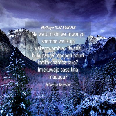 Picture 04 - Mathayo 13:27 SWHULB - Na watumishi wa mwenye shamba walikuja - Bible Verse Picture