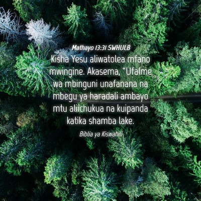 Picture 04 - Mathayo 13:31 SWHULB - Kisha Yesu aliwatolea mfano mwingine. Akasema, - Bible Verse Picture