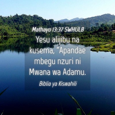 Picture 04 - Mathayo 13:37 SWHULB - Yesu alijibu na kusema, “Apandae mbegu nzuri ni - Bible Verse Picture