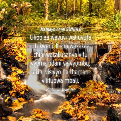 Picture 04 - Mathayo 13:48 SWHULB - Ulipojaa wavuvi waliuvuta ufukweni. Kisha wakakaa - Bible Verse Picture