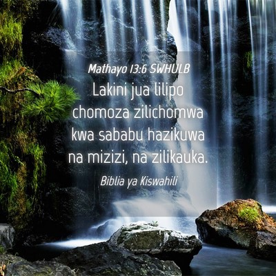 Picture 04 - Mathayo 13:6 SWHULB - Lakini jua lilipo chomoza zilichomwa kwa sababu - Bible Verse Picture