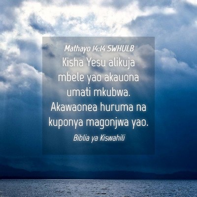 Picture 04 - Mathayo 14:14 SWHULB - Kisha Yesu alikuja mbele yao akauona umati - Bible Verse Picture