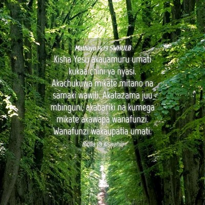 Picture 04 - Mathayo 14:19 SWHULB - Kisha Yesu akauamuru umati kukaa chini ya nyasi. - Bible Verse Picture