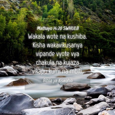 Picture 04 - Mathayo 14:20 SWHULB - Wakala wote na kushiba. Kisha wakavikusanya - Bible Verse Picture