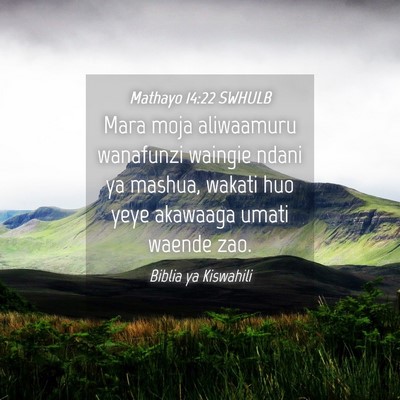 Picture 04 - Mathayo 14:22 SWHULB - Mara moja aliwaamuru wanafunzi waingie ndani ya - Bible Verse Picture