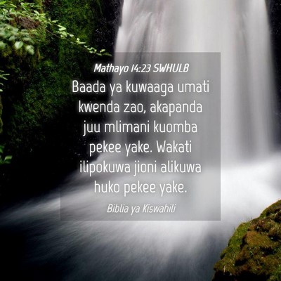 Picture 04 - Mathayo 14:23 SWHULB - Baada ya kuwaaga umati kwenda zao, akapanda juu - Bible Verse Picture