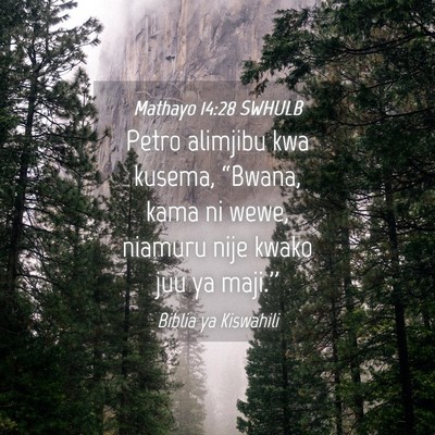 Picture 04 - Mathayo 14:28 SWHULB - Petro alimjibu kwa kusema, “Bwana, kama ni - Bible Verse Picture