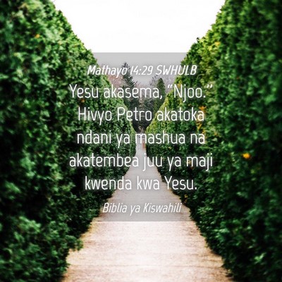 Picture 04 - Mathayo 14:29 SWHULB - Yesu akasema, “Njoo.'' Hivyo Petro akatoka - Bible Verse Picture