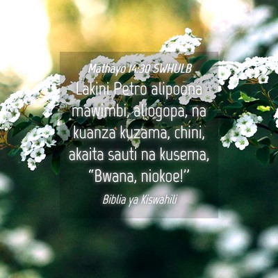 Picture 04 - Mathayo 14:30 SWHULB - Lakini Petro alipoona mawimbi, aliogopa, na - Bible Verse Picture
