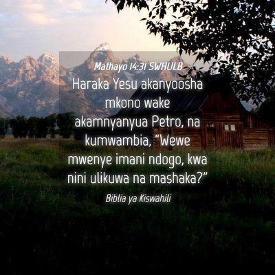 Picture 04 - Mathayo 14:31 SWHULB - Haraka Yesu akanyoosha mkono wake akamnyanyua - Bible Verse Picture