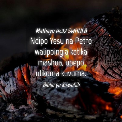 Picture 04 - Mathayo 14:32 SWHULB - Ndipo Yesu na Petro walipoingia katika mashua, - Bible Verse Picture
