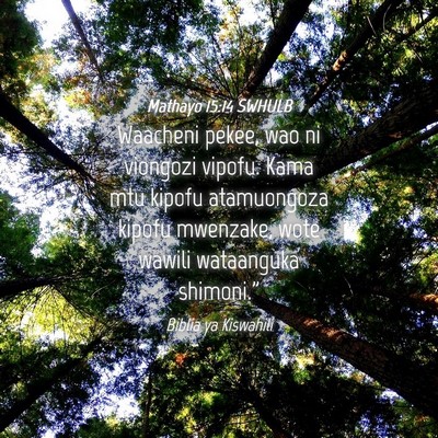 Picture 04 - Mathayo 15:14 SWHULB - Waacheni pekee, wao ni viongozi vipofu. Kama mtu - Bible Verse Picture