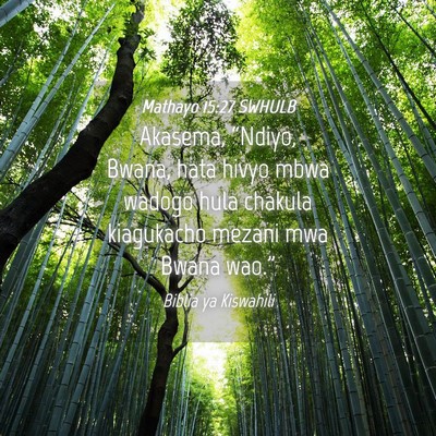 Picture 04 - Mathayo 15:27 SWHULB - Akasema, “Ndiyo, Bwana, hata hivyo mbwa wadogo - Bible Verse Picture
