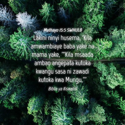 Picture 04 - Mathayo 15:5 SWHULB - Lakini ninyi husema, 'Kila amwambiaye baba yake - Bible Verse Picture