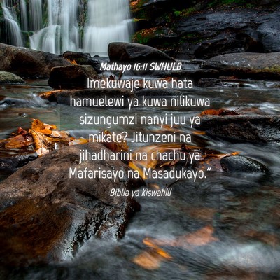 Picture 04 - Mathayo 16:11 SWHULB - Imekuwaje kuwa hata hamuelewi ya kuwa nilikuwa - Bible Verse Picture