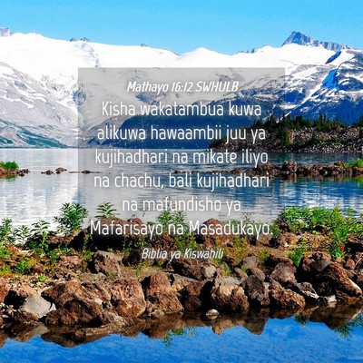 Picture 04 - Mathayo 16:12 SWHULB - Kisha wakatambua kuwa alikuwa hawaambii juu ya - Bible Verse Picture
