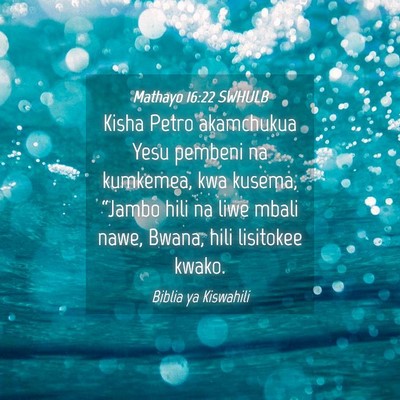 Picture 04 - Mathayo 16:22 SWHULB - Kisha Petro akamchukua Yesu pembeni na kumkemea, - Bible Verse Picture