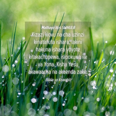 Picture 04 - Mathayo 16:4 SWHULB - Kizazi kiovu na cha uzinzi kinatafuta ishara, - Bible Verse Picture