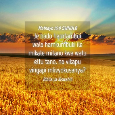 Picture 04 - Mathayo 16:9 SWHULB - Je bado hamtambui wala hamkumbuki ile mikate - Bible Verse Picture