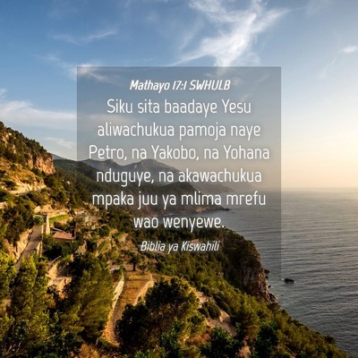 Picture 04 - Mathayo 17:1 SWHULB - Siku sita baadaye Yesu aliwachukua pamoja naye - Bible Verse Picture