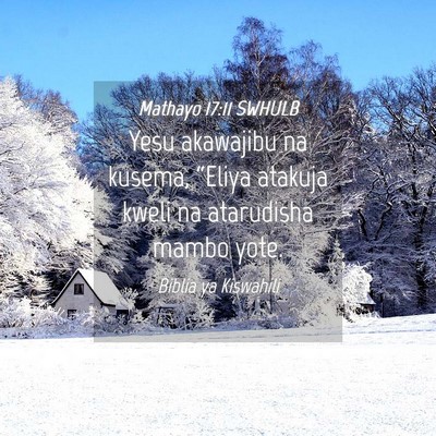 Picture 04 - Mathayo 17:11 SWHULB - Yesu akawajibu na kusema, “Eliya atakuja kweli - Bible Verse Picture