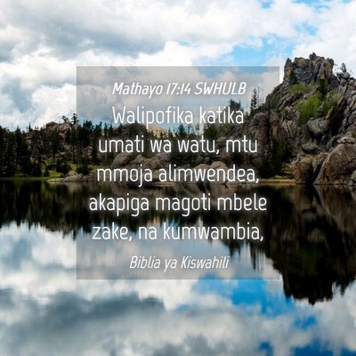 Picture 04 - Mathayo 17:14 SWHULB - Walipofika katika umati wa watu, mtu mmoja - Bible Verse Picture