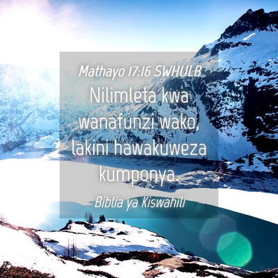 Picture 04 - Mathayo 17:16 SWHULB - Nilimleta kwa wanafunzi wako, lakini hawakuweza - Bible Verse Picture