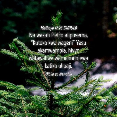 Picture 04 - Mathayo 17:26 SWHULB - Na wakati Petro aliposema, “Kutoka kwa - Bible Verse Picture