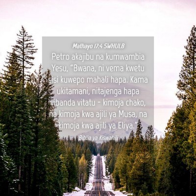 Picture 04 - Mathayo 17:4 SWHULB - Petro akajibu na kumwambia Yesu, “Bwana, ni - Bible Verse Picture