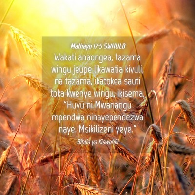 Picture 04 - Mathayo 17:5 SWHULB - Wakati anaongea, tazama wingu jeupe likawatia - Bible Verse Picture