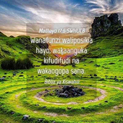 Picture 04 - Mathayo 17:6 SWHULB - Wanafunzi waliposikia hayo, wakaanguka kifudifudi - Bible Verse Picture