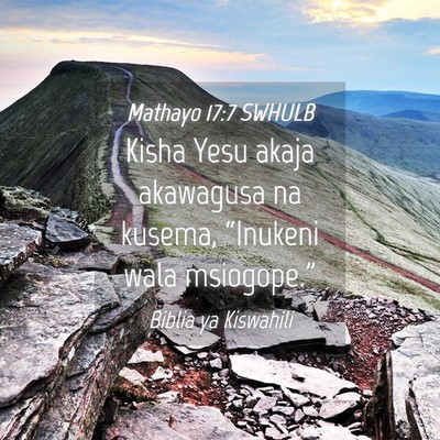 Picture 04 - Mathayo 17:7 SWHULB - Kisha Yesu akaja akawagusa na kusema, “Inukeni - Bible Verse Picture