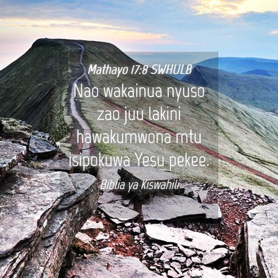 Picture 04 - Mathayo 17:8 SWHULB - Nao wakainua nyuso zao juu lakini hawakumwona mtu - Bible Verse Picture