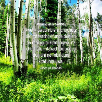 Picture 04 - Mathayo 18:18 SWHULB - Kweli nawaambieni, chochote kile mtakachokifunga - Bible Verse Picture