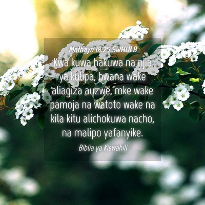 Picture 04 - Mathayo 18:25 SWHULB - Kwa kuwa hakuwa na njia ya kulipa, bwana wake - Bible Verse Picture