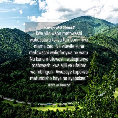 Picture 04 - Mathayo 19:12 SWHULB - Kwa vile wapo matowashi waliozaliwa tokea tumboni - Bible Verse Picture