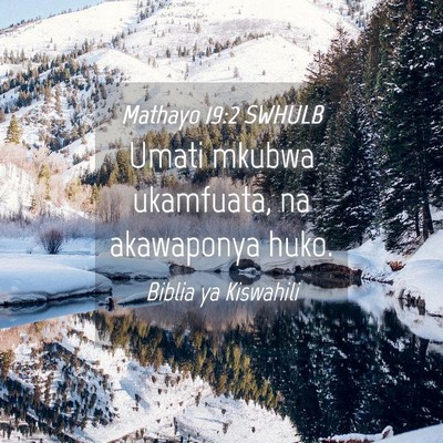 Picture 04 - Mathayo 19:2 SWHULB - Umati mkubwa ukamfuata, na akawaponya - Bible Verse Picture