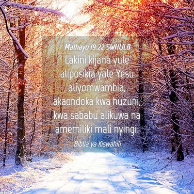 Picture 04 - Mathayo 19:22 SWHULB - Lakini kijana yule aliposikia yale Yesu - Bible Verse Picture