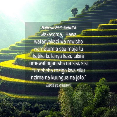 Picture 04 - Mathayo 20:12 SWHULB - Wakasema, 'Hawa wafanyakazi wa mwisho wametumia - Bible Verse Picture
