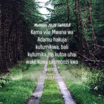 Picture 04 - Mathayo 20:28 SWHULB - Kama vile Mwana wa Adamu hakuja kutumikiwa, bali - Bible Verse Picture