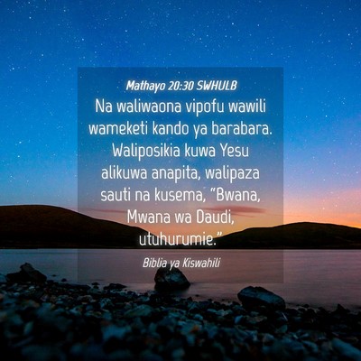 Picture 04 - Mathayo 20:30 SWHULB - Na waliwaona vipofu wawili wameketi kando ya - Bible Verse Picture